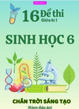 Tuyển tập 16 Đề thi giữa Kì 1 môn Sinh Học 6 sách Chân Trời Sáng Tạo (Kèm đáp án)